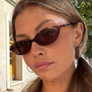 Óculos Leopard | Lançamento Buzz